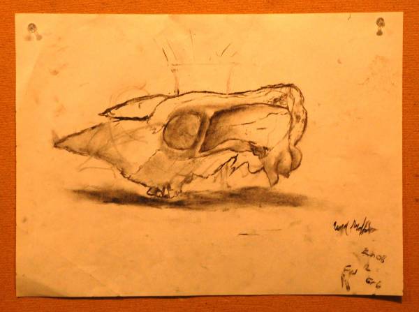 2cont-05.jpg