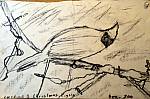 Thumbnail of 2cont-04.jpg