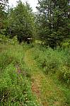 Thumbnail of 8out-07.jpg