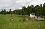 Thumbnail of 8out-08.jpg